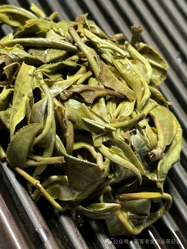 小树茶对冲茶会