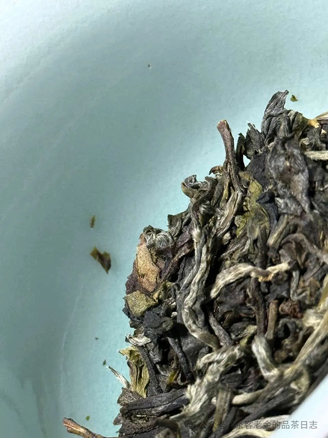 小树茶对冲茶会