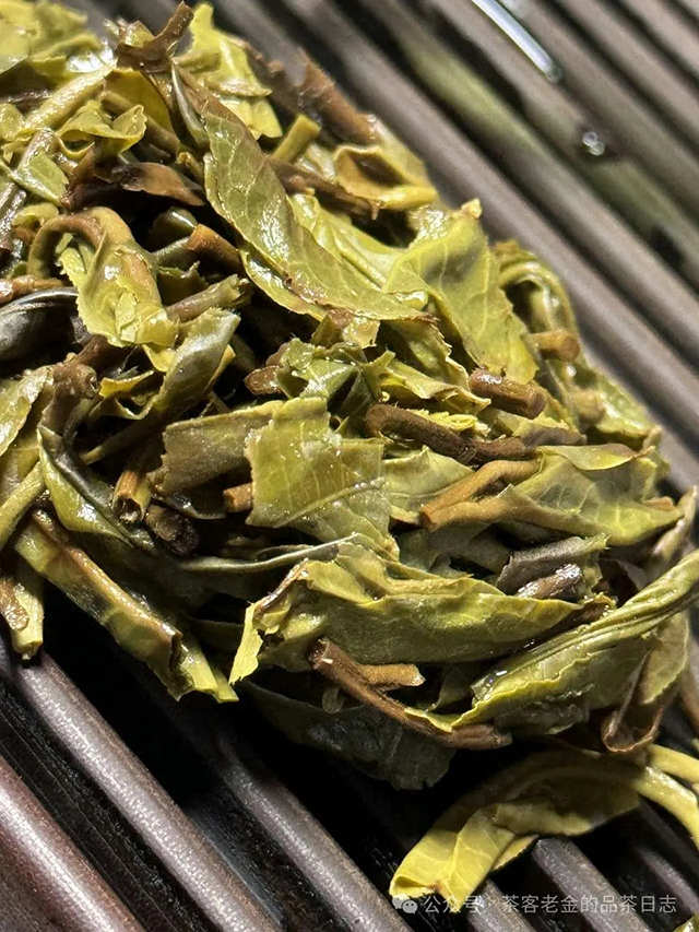 小树茶对冲茶会