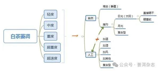 普洱杂志