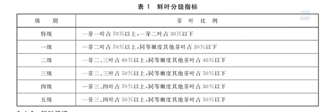 小杨带你快速学懂喝茶感受