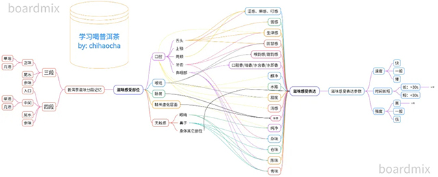 小杨带你快速学懂喝茶感受