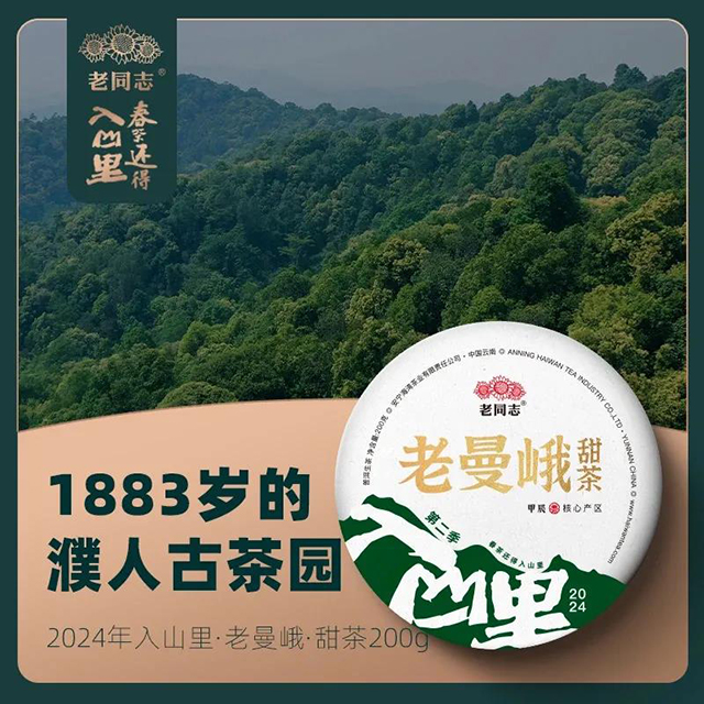 老同志普洱茶