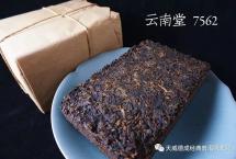 普洱杂志：你真的认识熟茶发酵师吗？