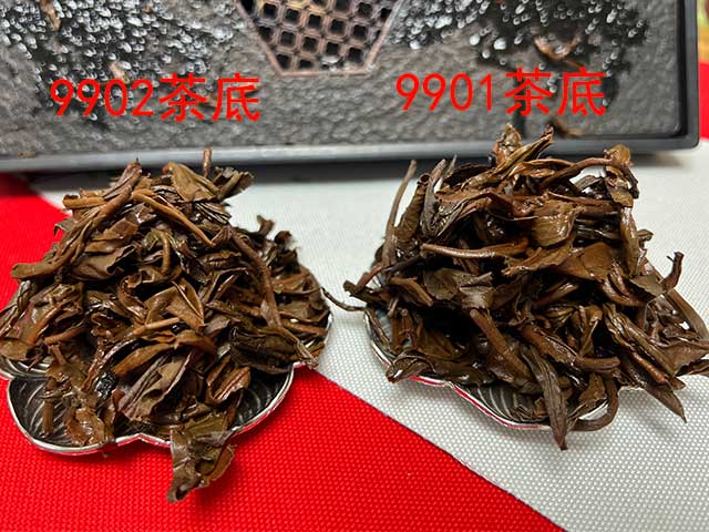 图为1999年9901批和9902批红印圆茶茶底