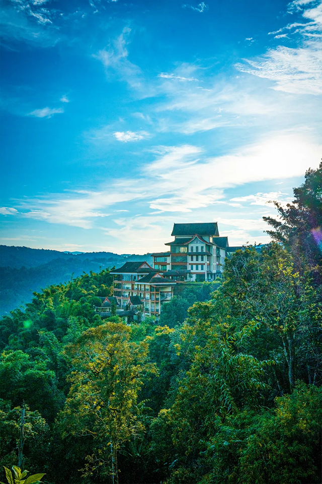 六大茶山原产地核心窖