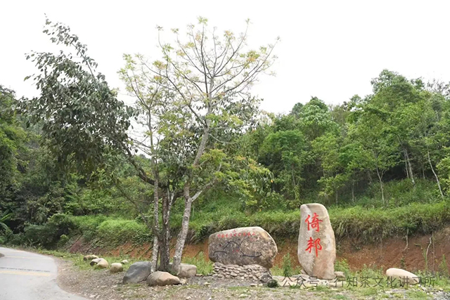 普洱茶产地