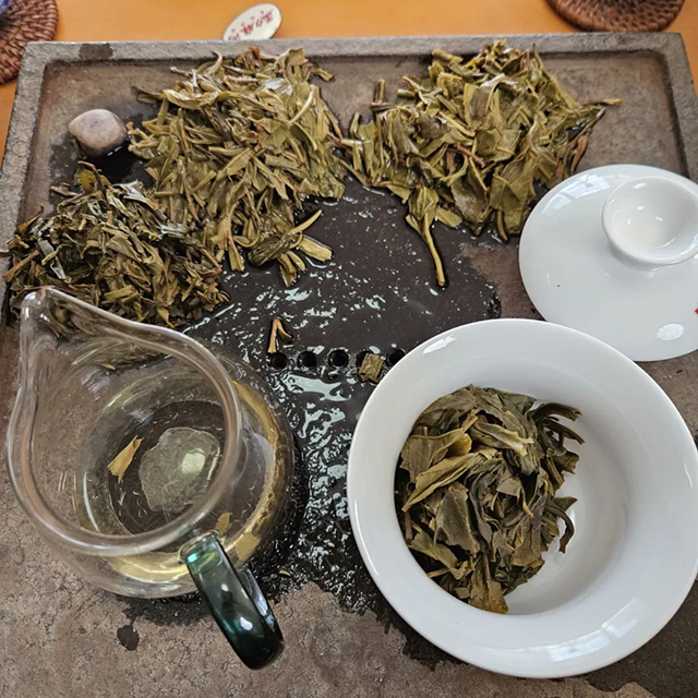 彤掌柜勐麻河普洱茶