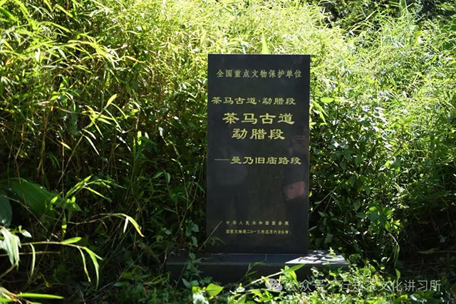 茶马古道易武山