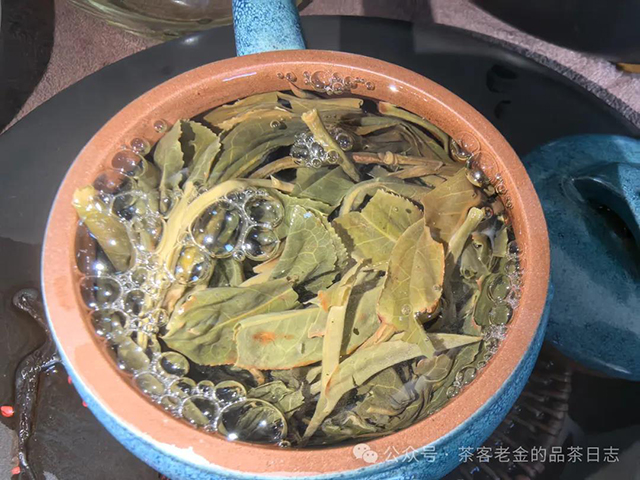 茶者无喧2024年莽枝有林普洱茶品质特点