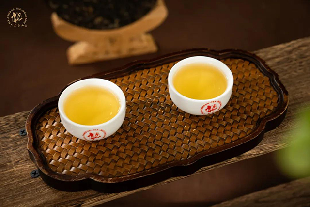 六大茶山懂过普洱茶