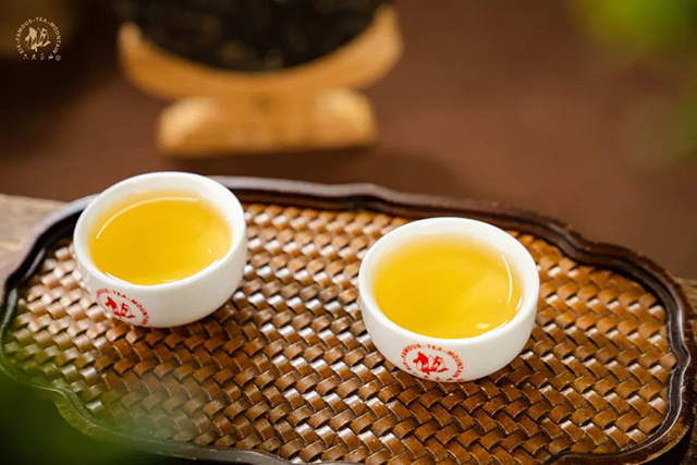 六大茶山懂过普洱茶