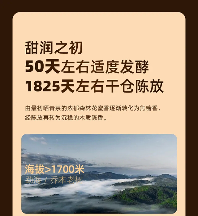 老同志2025年7588熟砖普洱茶品质特点